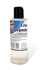 LiveCopepodsBigBottle